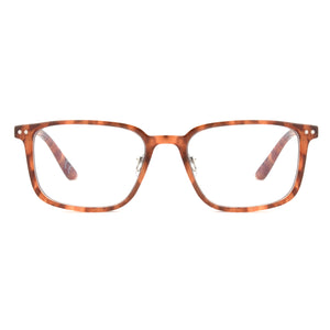 Unmagnified / Tortoise