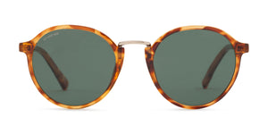 Unmagnified / Tortoise