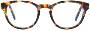 Unmagnified / Tortoise