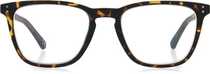 Unmagnified / Tortoise