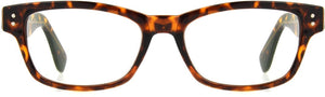 Multifocal / 1.00 / Tortoise