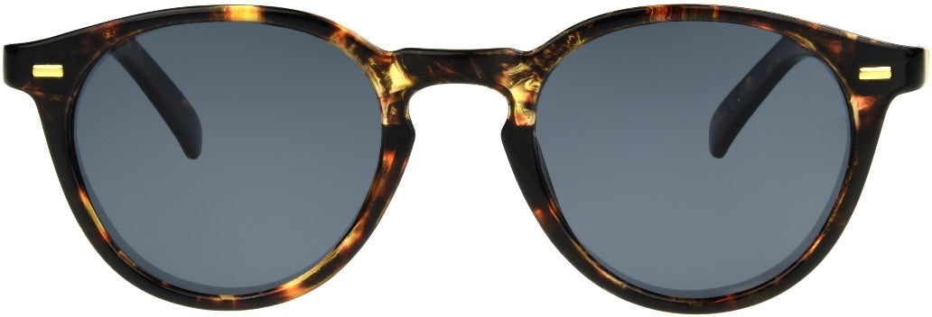 Easton Polarized Sun Unmagnified Tortoise Foster Grant