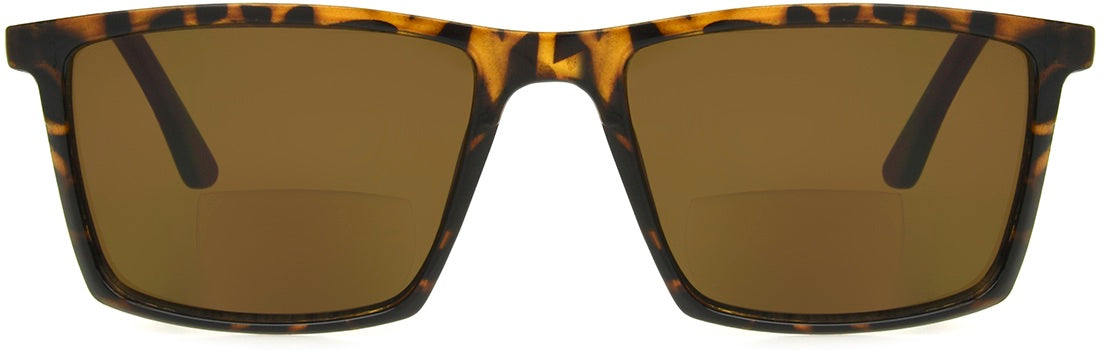 Jorge Tortoise SunReaders®