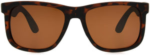 Unmagnified / Tortoise