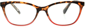 Multifocal / 1.00 / Brown