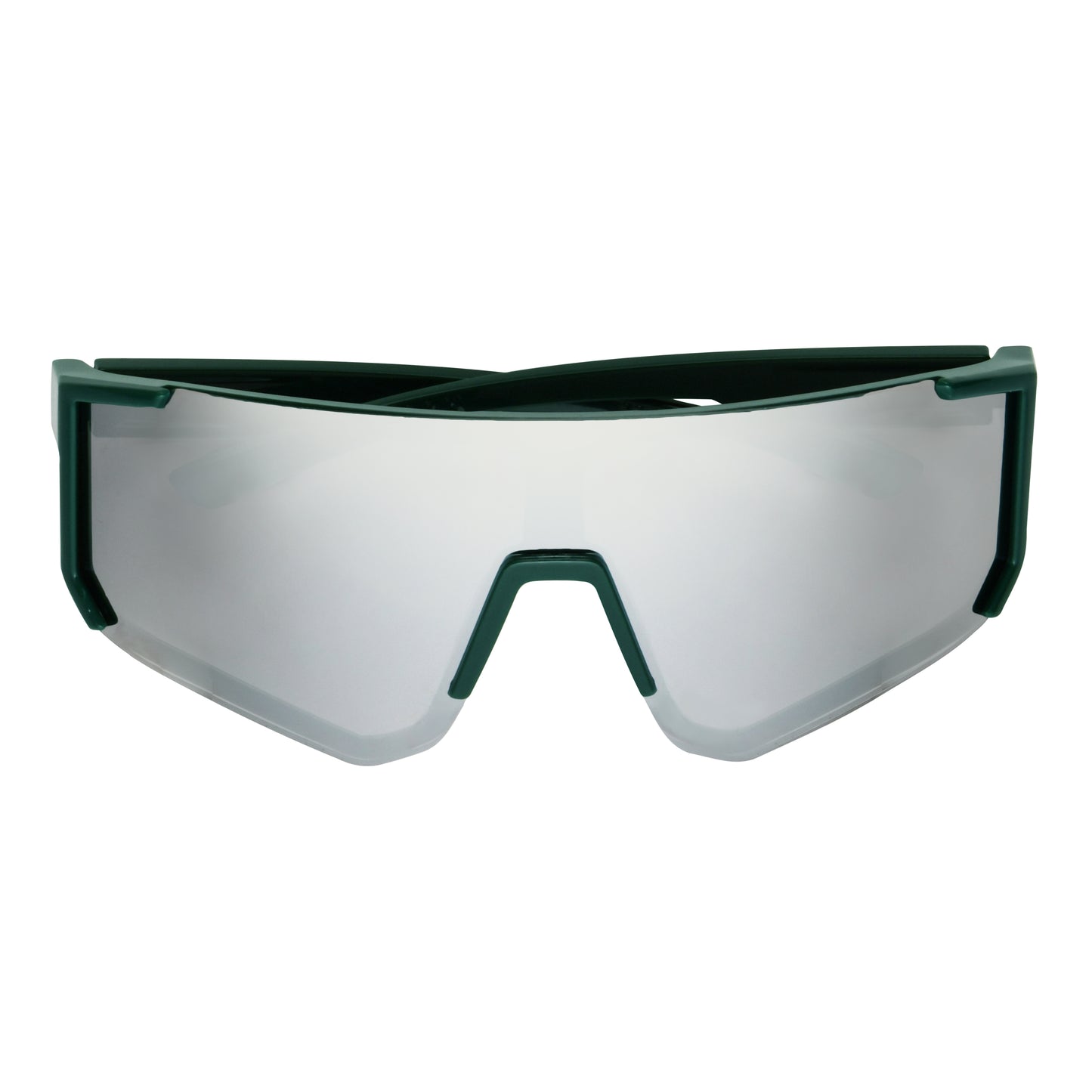 Michigan State Spartans Shield