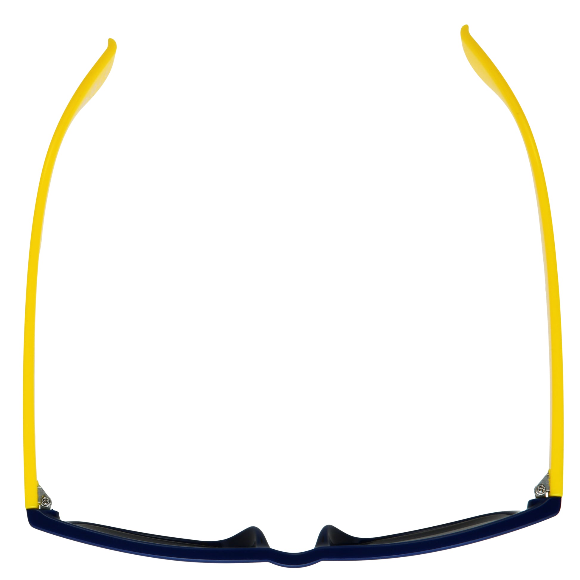 Michigan Wolverines Way - Sun - Unmagnified - Blue - Variant Link
