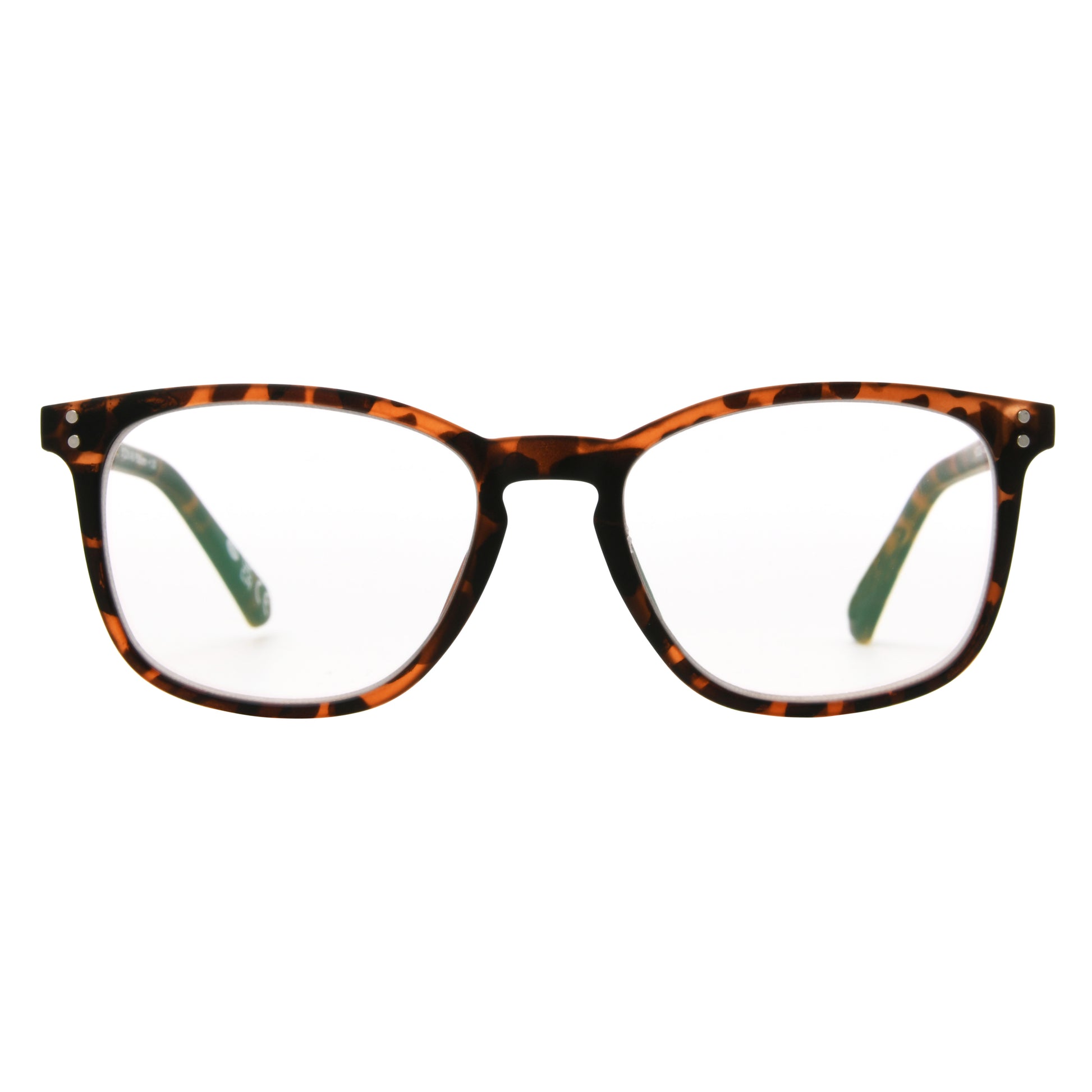 Camden - Reader - Multifocal - Tortoise - Variant Link